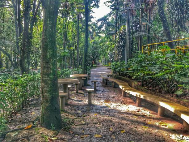 istock Cement bench and setas in middle of tropical vegetation 1456800786