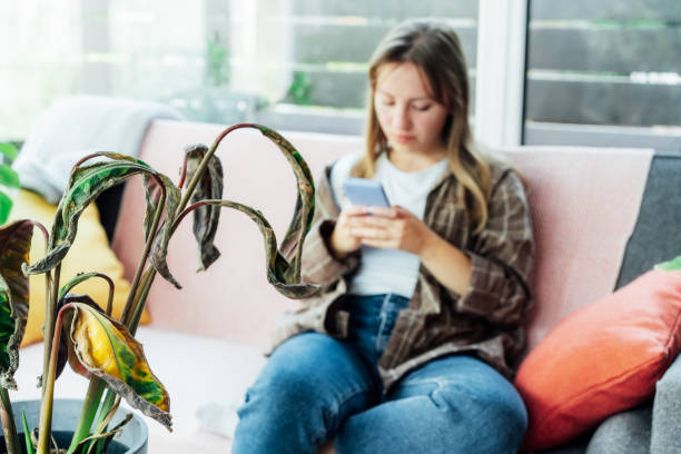istock Young woman using mobile phone for searching info about houseplants disorders, it's identification and treatment for dried, sunburn leaf of potted plant Calathea. Houseplants diseases. Home gardening 1456805918