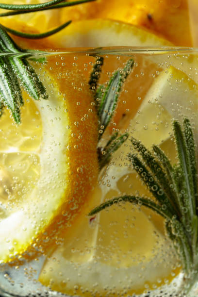 Cocktail gin-tonic with lemon slices and rosemary. stock photo