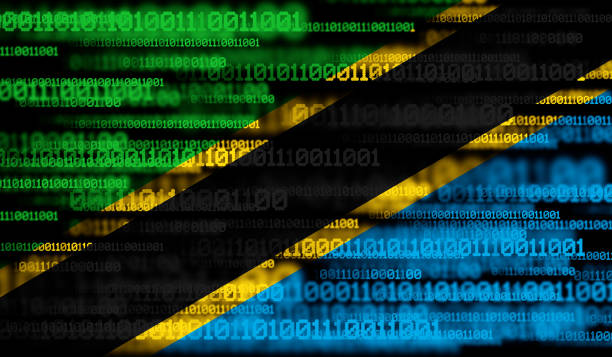 Flag of Tanzania on binary code. Modern technology concep tanzania stock illustrations