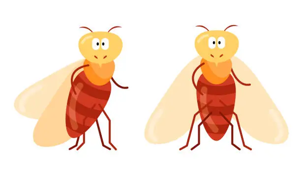 Vector illustration of cartoon character cicada in full face and profile, insect