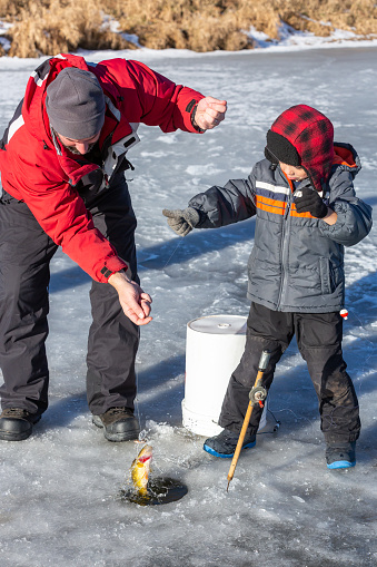 Close-up of a father helping his young son pull up a perch he just caught while ice fishing.