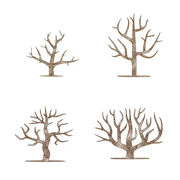 Vector illustration of Abstract finger tree silhouettes set