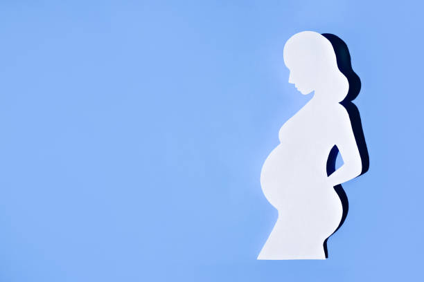 Banner about pregnancy and motherhood. Silhouette of a young pregnant woman on a blue background. Flat styling, space for text. Banner about pregnancy and motherhood. Silhouette of a young pregnant woman on a blue background. Flat styling, space for text. surrogacy stock pictures, royalty-free photos & images