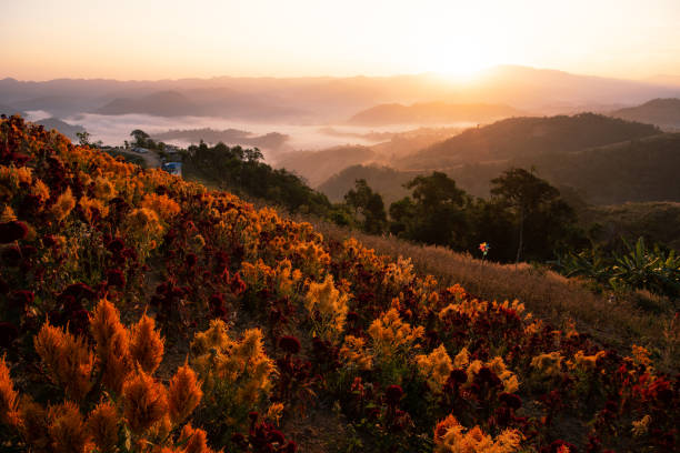 istock Mountian range landscape look from view point of Montawan Mountain 1456821843
