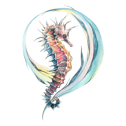 A seahorse in the waves of water. Watercolor illustration on a white background. A composition from the MARINE SYMPHONY collection. For the design and decoration of prints, stickers, posters, cards