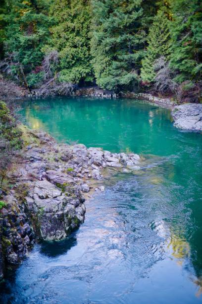 istock Lacamas Lake Pond 1456825967