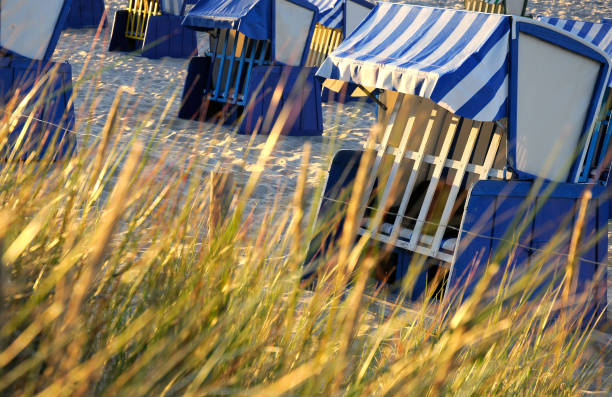 chaises de plage au soleil du soir. (mer baltique, allemagne du nord) - rugen island photos et images de collection