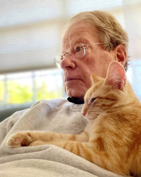 istock Old senior man and tabby cat 1456833856