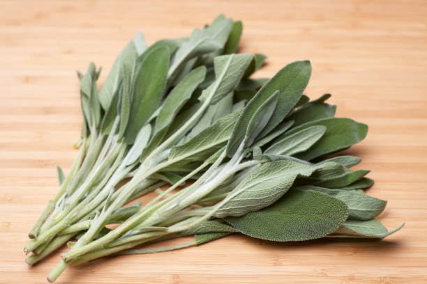 istock green sage on a wood background 1456834788