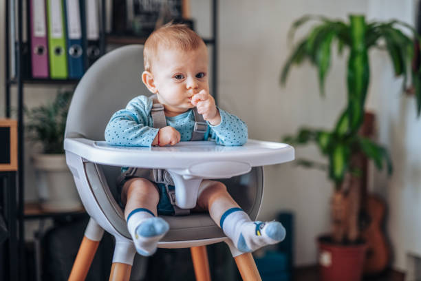 istock Baby boy on high chair eating a biscuit. 1456835182