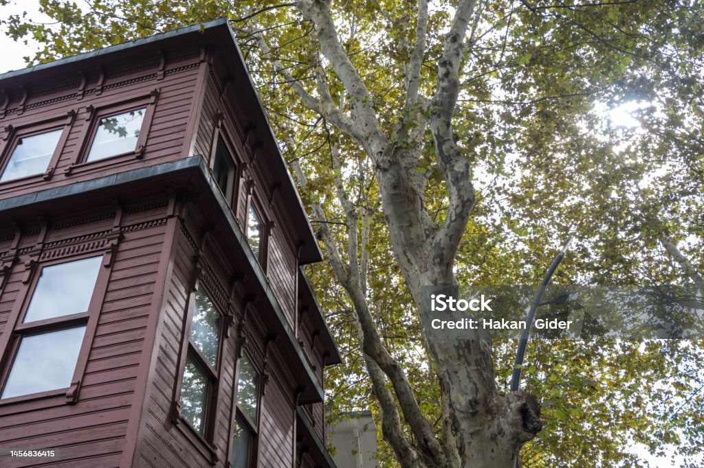 Istanbul Kuzguncuk old wooden structure Old wooden house and trees House Stock Photo