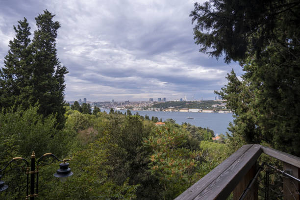 istock Istanbul landscape and Bosphorus, cloudy sky, wide angle trees and city 1456837272