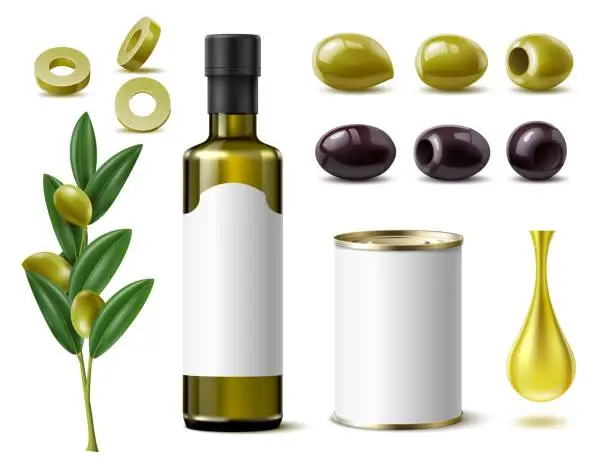 Vector illustration of Realistic olive products. Pickled olives in white tin can, oil glass bottle, blank label, drop, farms foods, mediterranean vegetables different angles view, 3d isolated utter vector set