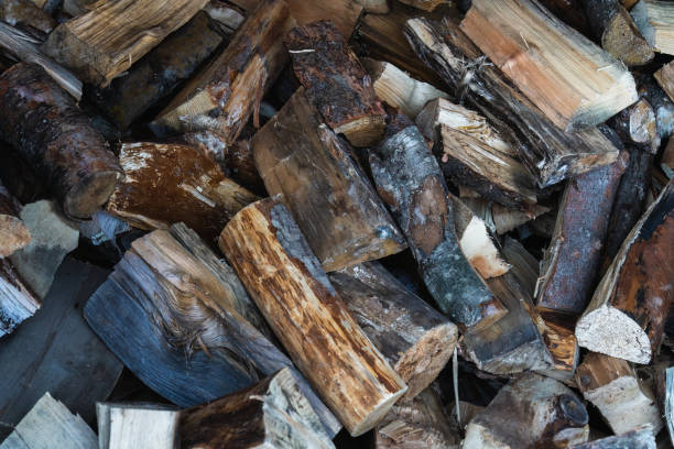 istock Pile of firewood close up. 1456843659