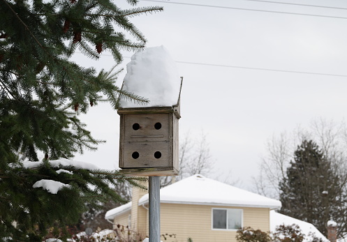Thick snow tops a birdhouse and a house for humans in the residential neighbourhood of Fleetwood in Surrey, British Columbia. Winter afternoon with overcast skies.