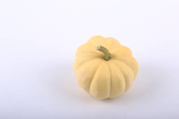 Mini white Pumpkin.