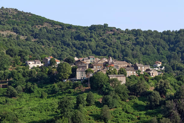 istock Talasani village and chestnut forest 1456854930
