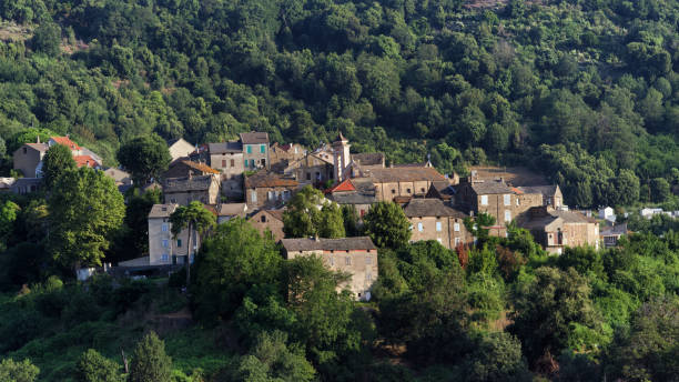 istock Talasani village and chestnut forest 1456857268