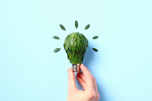 Light bulb decorated with green leaves in female hands. Sustainable lifestyle, green energy, and environmental protection concept.