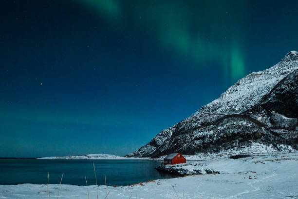 istock Aurora Borealis in Arctic Norway 1456859069