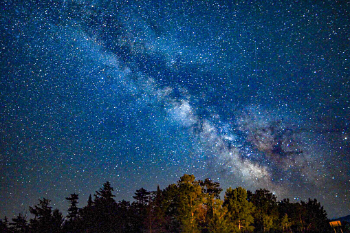 A stunning view of the Milky Way appears over the trees in the Adirondack Mountains