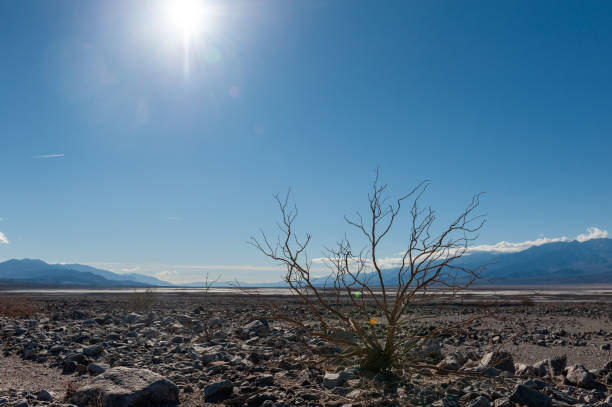 istock Death Valley National Park landscape 1456859126