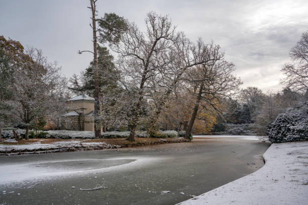 istock Mid winter colour at Claremont Gardens 1456859198