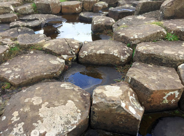 istock Close up of stones at Giants Causeway 1456861909