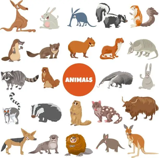 Vector illustration of cartoon wild animal characters big set