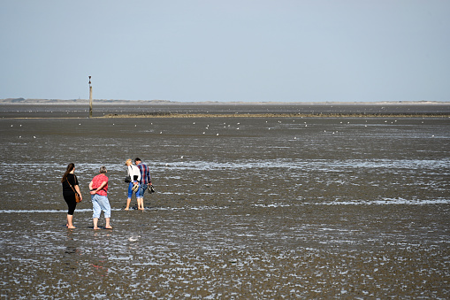 Norddeich, Lower Saxony, Germany, September 4, 2022 - Mudflat walk on the North Sea beach.