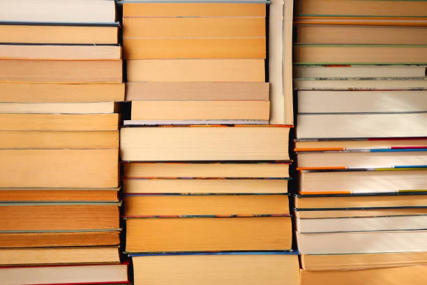 istock Big Pile of Books 1456868407