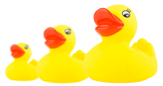 Yellow rubber ducks isolated on a white background. Duck for a kids bath time.