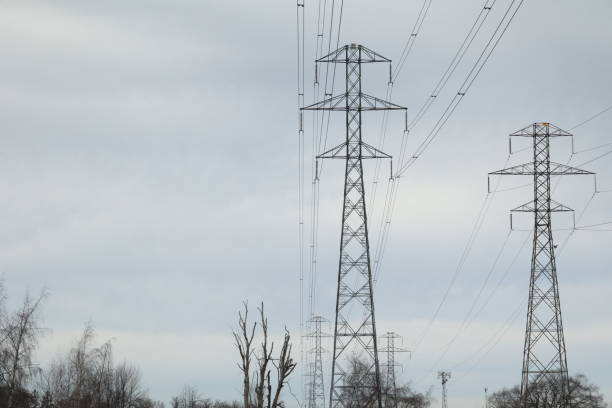 istock Electricity Pylons in Delta, British Columbia, Canada 1456871916
