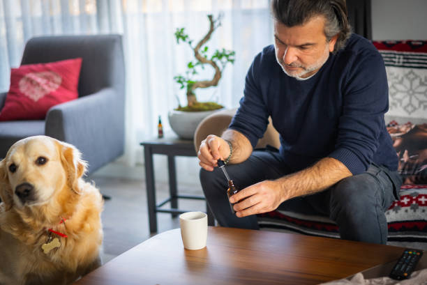 un hombre maduro agrega aceite de cbd a su té mientras comienza la mañana con su perro - oilcan fotografías e imágenes de stock