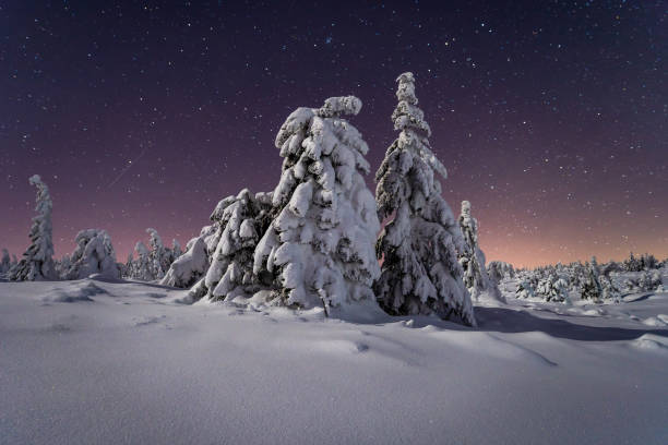 istock Snowy winter night in mountains 1456882225