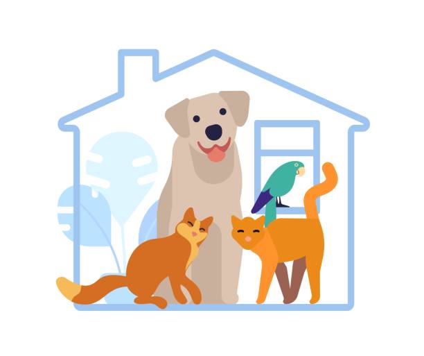 Hotel for domestic animals. Pet shelter. Vet service. Home with dog or cats. Parrot bird. Help to puppy. Care of kittens. Veterinary center. Building house. Kitty adoption. Vector concept vector art illustration