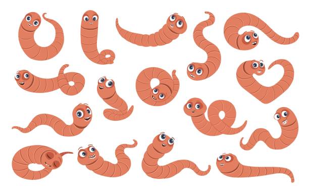 Cartoon funny soil worms. Earthworm poses. Useful garden inhabitant. Little insect. Farm yard life. Underground compost makers. Crawling caterpillar. Sleeping rainworm. Splendid vector set Cartoon funny soil worms. Earthworm poses. Useful garden inhabitant. Cute little insect. Farm yard life. Underground compost makers. Crawling caterpillar. Funny sleeping rainworm. Splendid vector set fishing worm stock illustrations