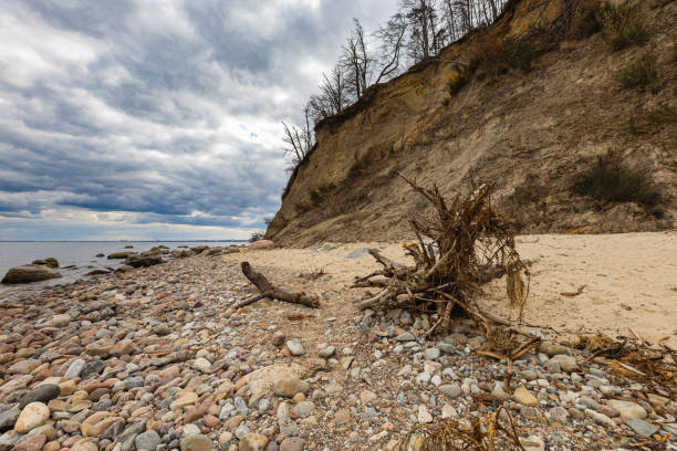 istock Coast of Baltic sea at the small beach next to high cliffs 1456883132