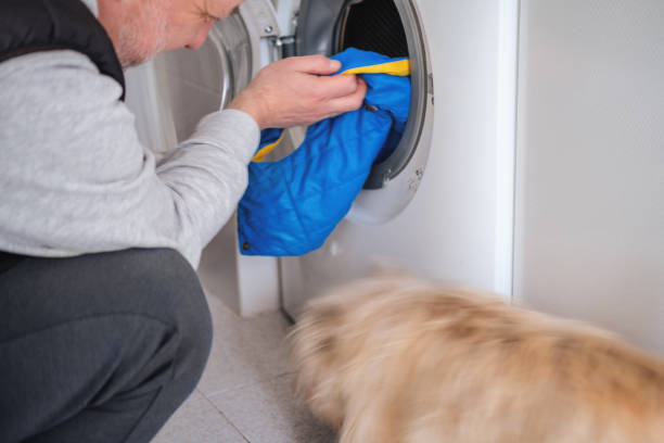 istock Mature man doing the laundry for dog’s items 1456884578