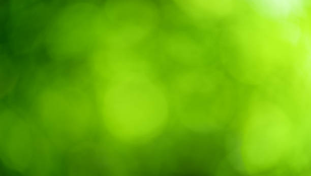 istock abstract blurred leaves of tree in nature forest with sunny and bokeh light 1456886951