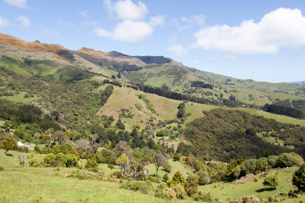 istock Akaroa Town Rural Mountainous Landscape 1456888913