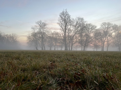 Foggy morning landscape of Tuscany