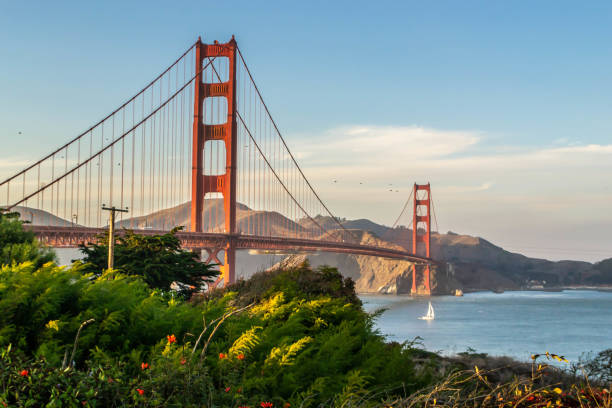 mostu golden gate w san francisco - san francisco bay area zdjęcia i obrazy z banku zdjęć