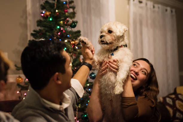 istock Family reunion for a Christmas holidays dinner. 1456893696