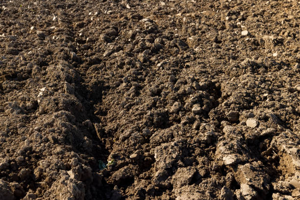 istock Processed plowed fertile soil in the field 1456900145