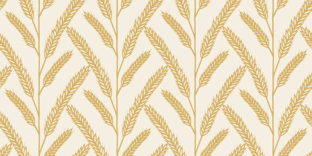 ilustraciones, imágenes clip art, dibujos animados e iconos de stock de grano de trigo dibujado a mano patrón sin costuras - bread cereal plant