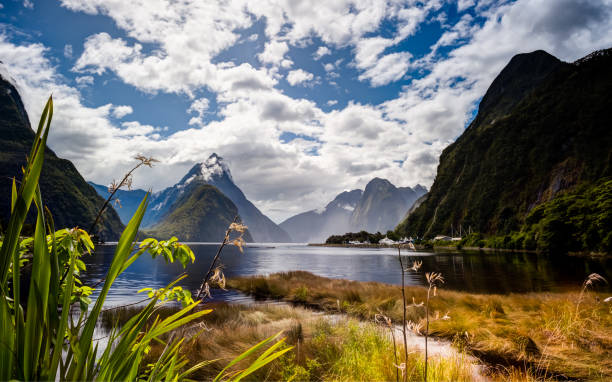 istock Milford Sound and Cruise Terminals 1456906605