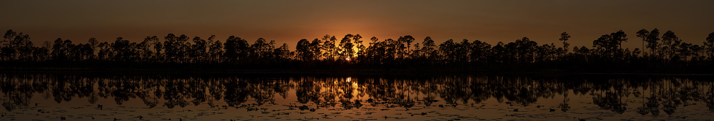 Shot at Lake Wales Ridge state forest in central Florida, on Nikon D750 with Nikon 24-70mm ED VR zoom lens