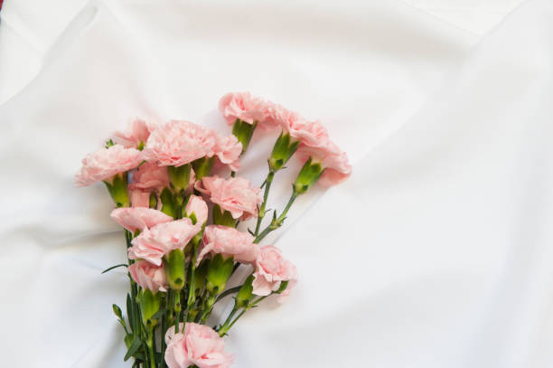 istock A pink carnation bouquet isolated over white background 1456908215